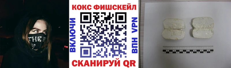 Cocaine Fish Scale  даркнет сайт  Славгород 