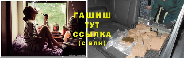 спиды Ессентукская