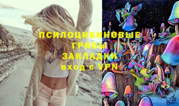 дмт Нея