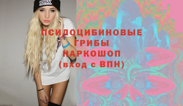 дмт Нея