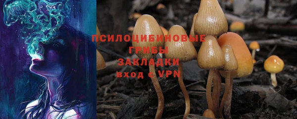 2c-b Нефтегорск