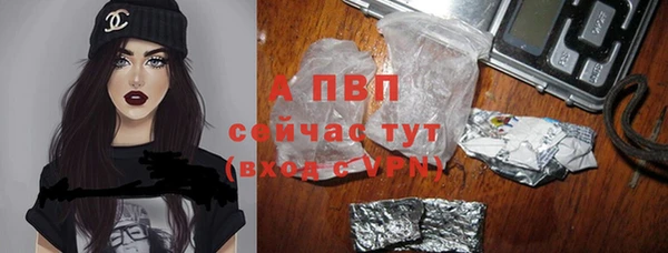 дмт Нея