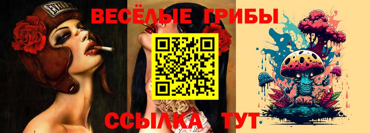 Галлюциногенные грибы Magic Shrooms Славгород