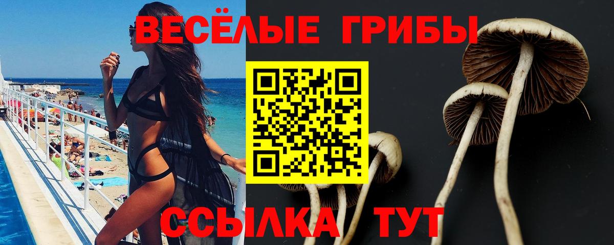 Псилоцибиновые грибы Cubensis  Галлюциногенные грибы Magic Shrooms  Славгород  Вход с VPN 